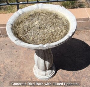 Concrete-Bird-Bath-with-Fluted-Pedestal