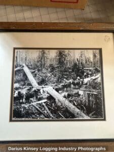 Darius-Kinsey-Logging-Industry-Photographs-second-image