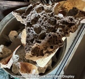 Decorative-Lava-Rock-and-Shell-Display