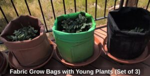 Fabric-Grow-Bags-with-Young-Plants-Set-of-