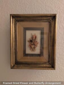 Framed-Dried-Flower-and-Butterfly-Arrangement
