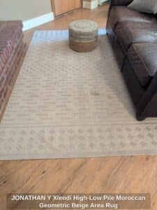 JONATHAN-Y-Xlendi-High-Low-Pile-Moroccan-Geometric-Beige-Area-Rug