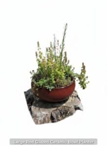 Large-Red-Glazed-Ceramic-Bowl-Planter