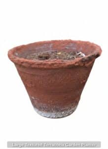 Large-Textured-Terracotta-Garden-Planter