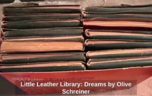Little-Leather-Library-Dreams-by-Olive-Schreiner-second-image