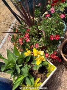 Mixed-Flower-Planters-third-image