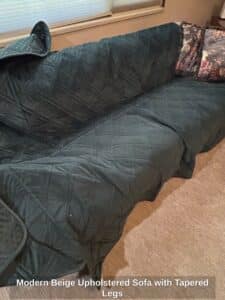 Modern-Beige-Upholstered-Sofa-with-Tapered-Legs-third-image
