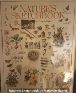 Natures-Sketchbook-by-Marjolein-Bastin