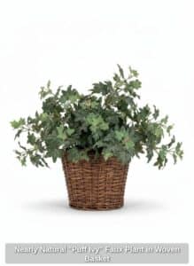 Nearly-Natural-Puff-Ivy-Faux-Plant-in-Woven-Basket