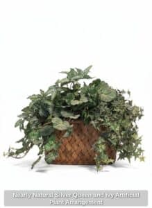 Nearly-Natural-Silver-Queen-and-Ivy-Artificial-Plant-Arrangement