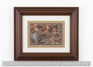 Quail-in-Autumn-Foliage-Print-by-Stephen-Koury
