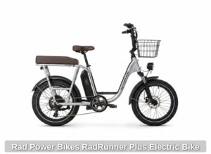 Rad-Power-Bikes-RadRunner-Plus-Electric-Bike-fourth-image