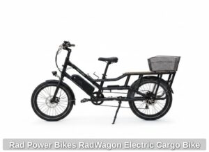 Rad-Power-Bikes-RadWagon-Electric-Cargo-Bike