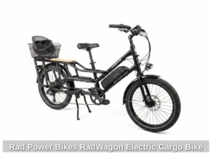 Rad-Power-Bikes-RadWagon-Electric-Cargo-Bike-fifth-image
