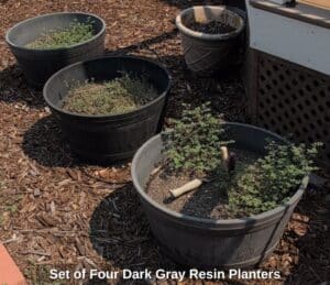 Set-of-Four-Dark-Gray-Resin-Planters