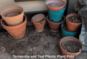 Terracotta-and-Teal-Plastic-Plant-Pots