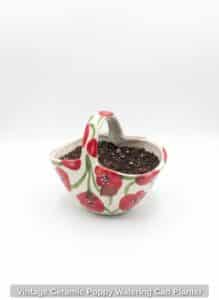 Vintage-Ceramic-Poppy-Watering-Can-Planter