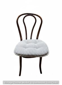 Vintage-Thonet-Model-Bentwood-Side-Chair