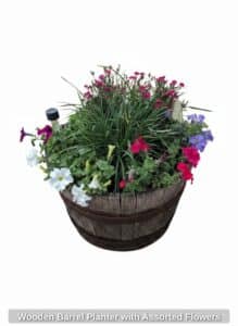 Wooden-Barrel-Planter-with-Assorted-Flowers