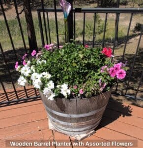 Wooden-Barrel-Planter-with-Assorted-Flowers-B