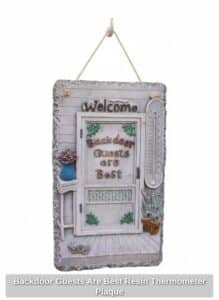 Backdoor-Guests-Are-Best-Resin-Thermometer-Plaque