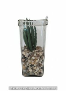 Blender-Jar-Glass-Succulent-Planter