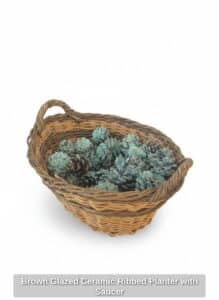 Brown-Glazed-Ceramic-Ribbed-Planter-with-Saucer
