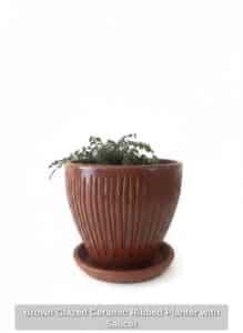 Brown-Glazed-Ceramic-Ribbed-Planter-with-Saucer-second-image