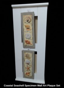 Coastal-Seashell-Specimen-Wall-Art-Plaque-Set
