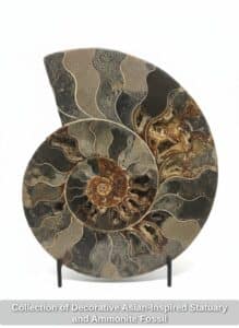 Collection-of-Decorative-Asian-Inspired-Statuary-and-Ammonite-Fossil