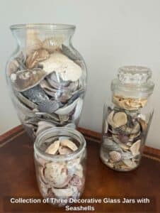 Collection-of-Three-Decorative-Glass-Jars-with-Seashells