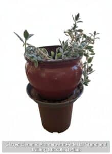 Glazed-Ceramic-Planter-with-Pedestal-Stand-and-Trailing-Succulent-Plant