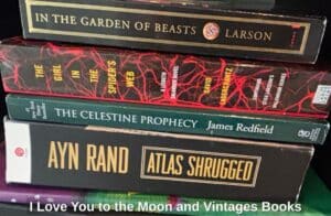 I-Love-You-to-the-Moon-and-Vintages-Books-fifth-image