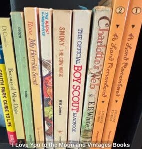 I-Love-You-to-the-Moon-and-Vintages-Books-third-image