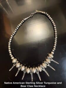 Native-American-Sterling-Silver-Turquoise-and-Bear-Claw-Necklace-second-image