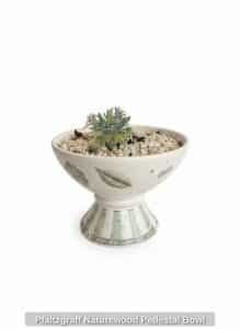 Pfaltzgraff-Naturewood-Pedestal-Bowl-third-image