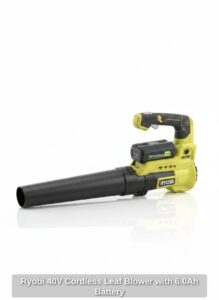Ryobi-V-Cordless-Leaf-Blower-with-.Ah-Battery