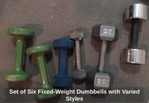 Set-of-Six-Fixed-Weight-Dumbbells-with-Varied-Styles