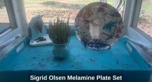 Sigrid-Olsen-Melamine-Plate-Set