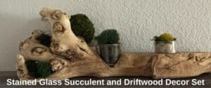 Stained-Glass-Succulent-and-Driftwood-Decor-Set-second-image
