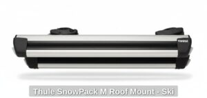 Thule-SnowPack-M-Roof-Mount-Ski