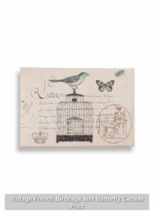 Vintage-French-Birdcage-and-Butterfly-Canvas-Print