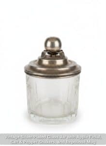 Vintage-Silver-Plated-Glass-Jar-with-Apple-Finial-Salt-Pepper-Shakers-and-Repouss-Mug
