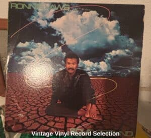 Vintage-Vinyl-Record-Selection-fifth-image
