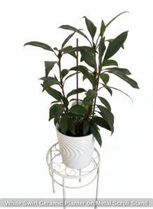 White-Swirl-Ceramic-Planter-on-Metal-Scroll-Stand-fifth-image