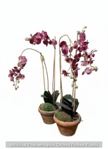 Artificial-Phalaenopsis-Orchid-Potted-Plants