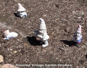 Assorted-Vintage-Garden-Gnomes