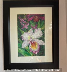 C.-Crallan-Cattleya-Orchid-Botanical-Print-second-image