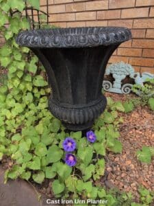 Cast-Iron-Urn-Planter