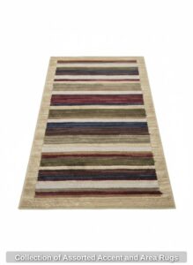 Collection-of-Assorted-Accent-and-Area-Rugs-fourth-image